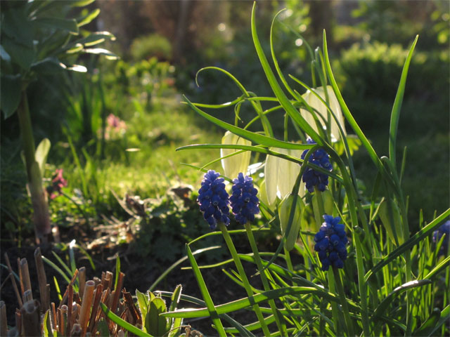 sk&ouml;n kv&auml;ll